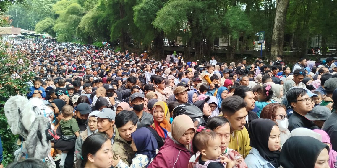 tiket gratis Bandung Zoo