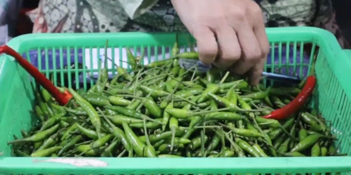 Harga Kebutuhan Pokok