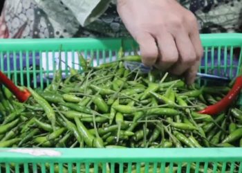 Harga Kebutuhan Pokok