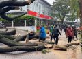 Hujan deras dan angin kencang menyebabkan pohon trembesi tumbang di Kota Baru Parahyangan, Bandung Barat, menimpa 3 mobil. (Uby/pasjabar)