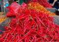 Harga Pangan