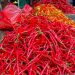 Harga Pangan