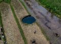 sinkhole
