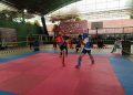 street fighter STKIP Pasundan