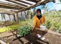 longsor Pasirlangu Bandung Barat