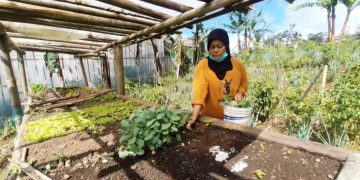 longsor Pasirlangu Bandung Barat