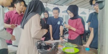 ikmi politeknik tedc