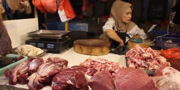 harga daging sapi