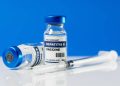 hepatitis b