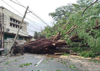 Hujan deras dan angin kencang melanda Kota Bandung, Rabu (4/3/2026). Pohon raksasa setinggi 20 meter tumbang di Regol, menutup jalan dan merusak fasilitas warga. (Uby/pasjabar)