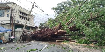 Hujan deras dan angin kencang melanda Kota Bandung, Rabu (4/3/2026). Pohon raksasa setinggi 20 meter tumbang di Regol, menutup jalan dan merusak fasilitas warga. (Uby/pasjabar)