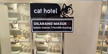 hotel kucing