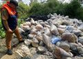 Kasus pembuangan limbah batu bara (FABA) secara ilegal kembali terjadi di Cikalongwetan, Bandung Barat. Sekitar 16 ton limbah mencemari jalan dan perkebunan warga. (Uby/pasjabar)