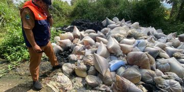 Kasus pembuangan limbah batu bara (FABA) secara ilegal kembali terjadi di Cikalongwetan, Bandung Barat. Sekitar 16 ton limbah mencemari jalan dan perkebunan warga. (Uby/pasjabar)