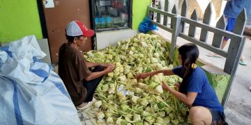 ketupat caringin