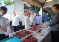 Gerakan Pangan Murah