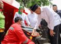 servis gratis