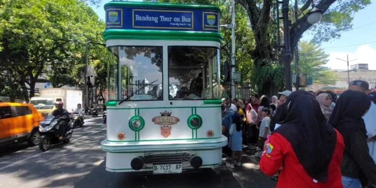 bus bandros