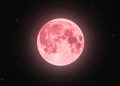 pink moon