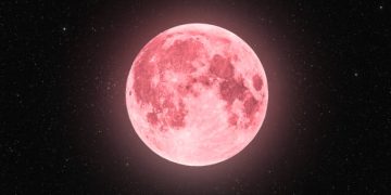 pink moon