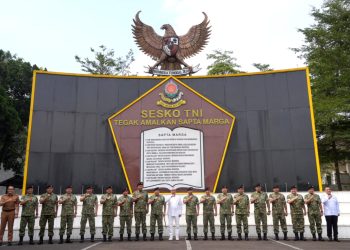 Sesko TNI