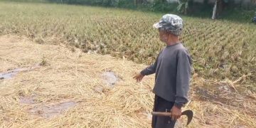 petani bandung barat