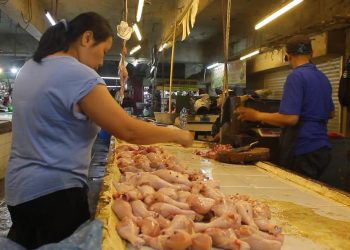 harga ayam kosambi