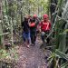 Erupsi Gunung Dukono